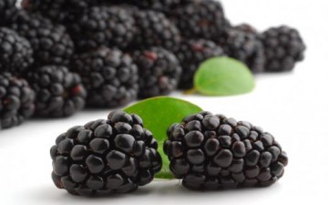 التوت الأسود وفوائده السحرية